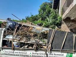 Best Hoarding Cleanup in Helena West Helena, AR